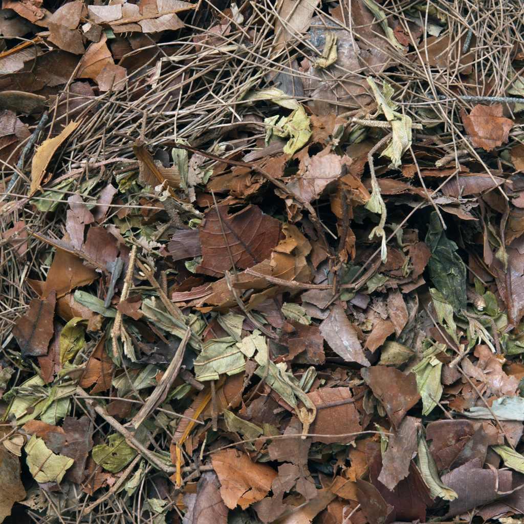 HabiStat Leaf Litter Mulch 500g Bag Bioactive Enclosure