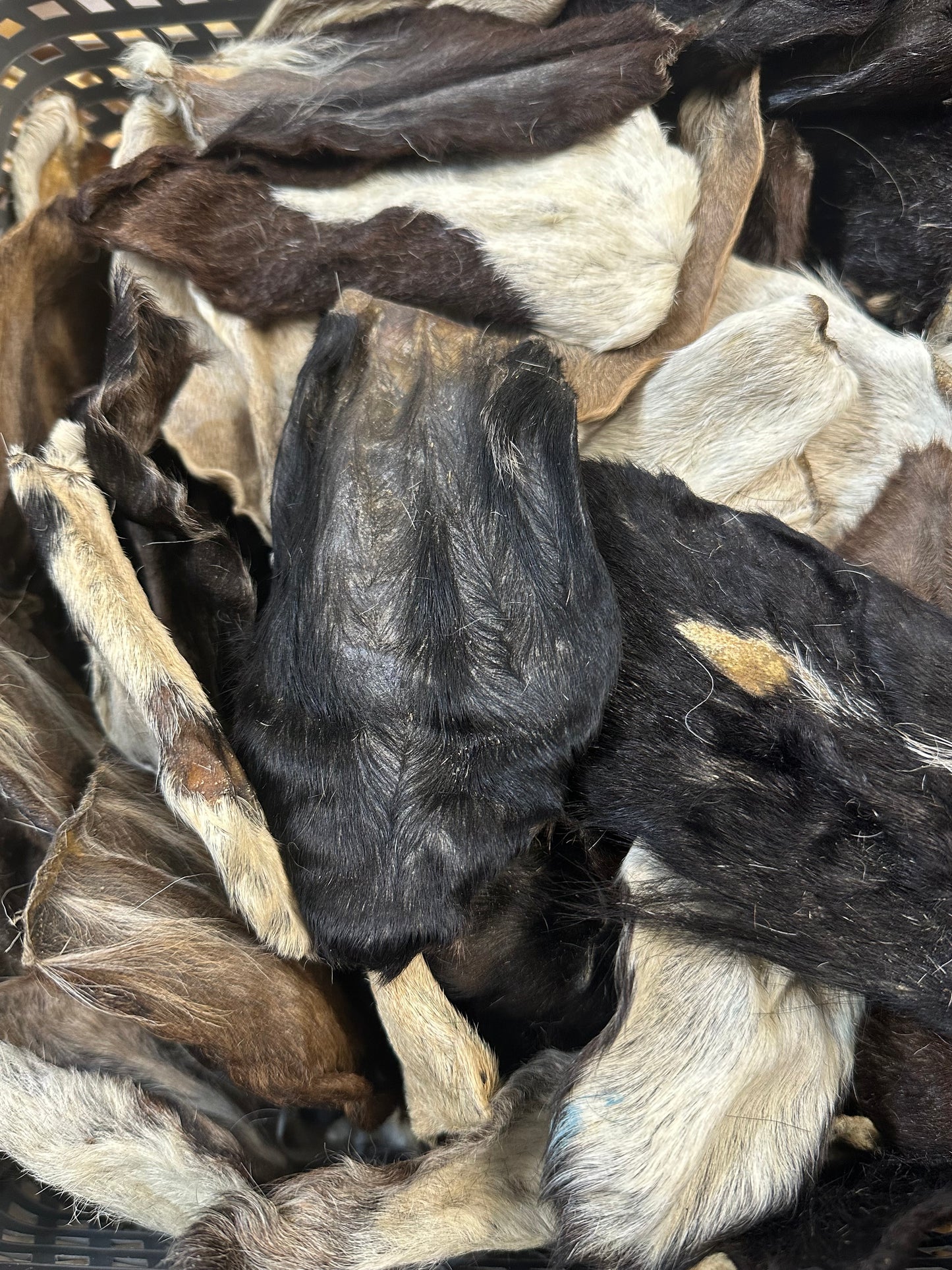 Hairy Goat Ear Natural Dog Treat