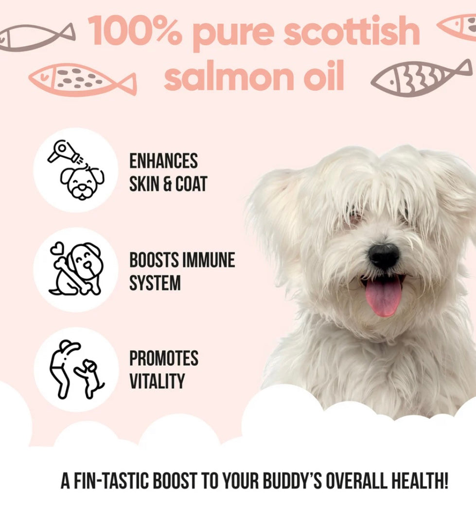 Bulk Buddy Care Salmon Oil 5 Litre Tub Cat and Dog Supplement Joints Coat