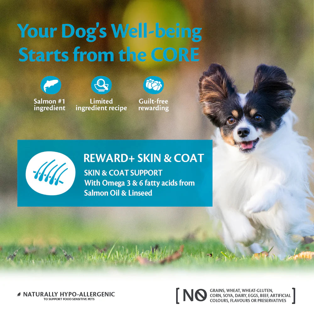 Wellness CORE Reward+ Skin & Coat Treats Dog