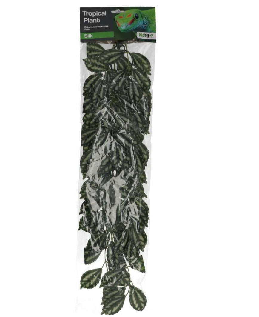 Pro Rep Silk Hanging Plant Watermelon Peperomia 70cm