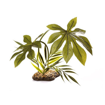 Komodo Free Standing Jungle Plant