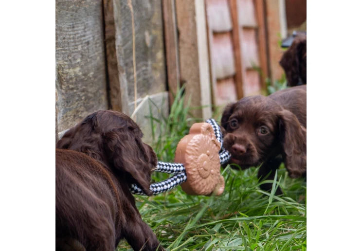 Small Bite Teddy Teether Tugger Puppy Dog Toy