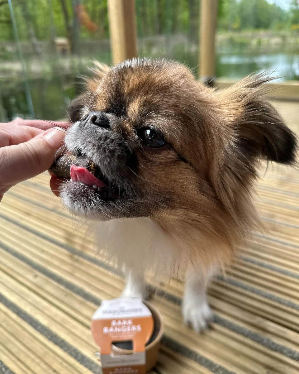Sir Woofchester Bark Bangers Treat Pot Mini Chicken Sausage Dog