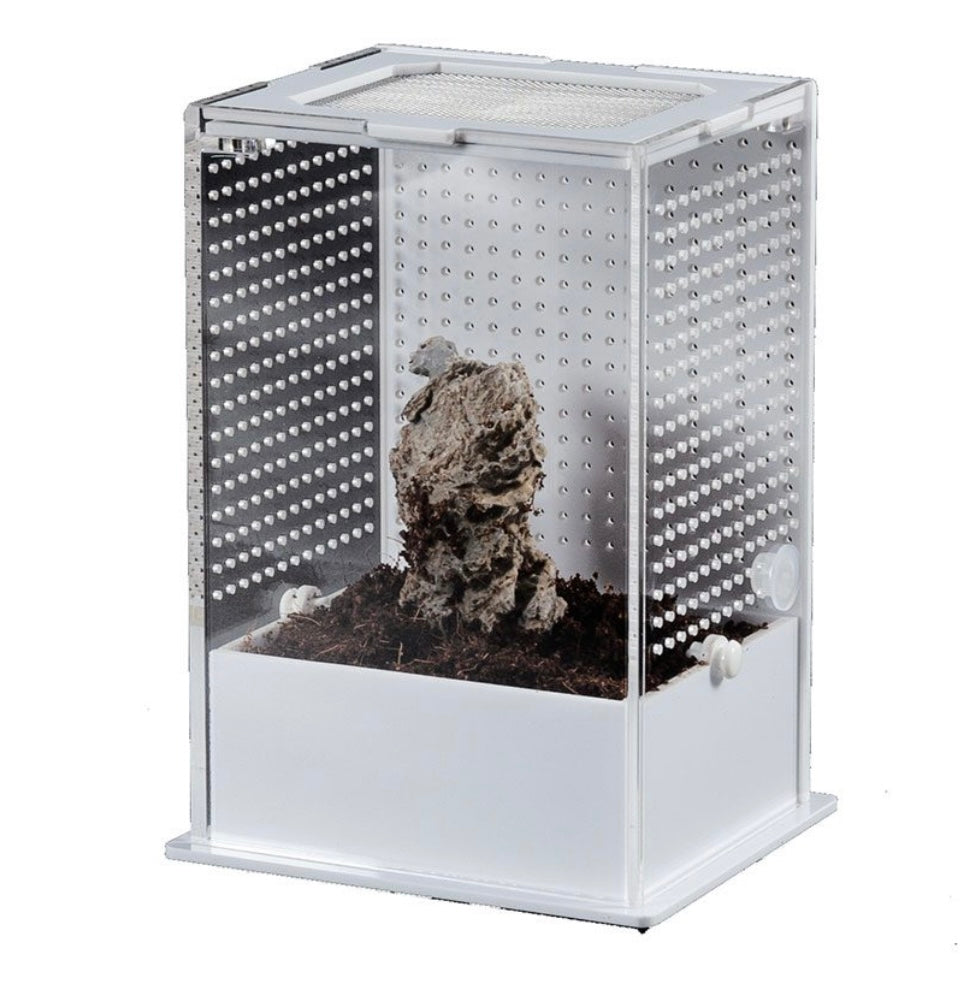 RZ Reptizoo White Base Insect Acrylic Box, 10×8.5x15cm Mantis Jumping Spider Inverts Insects