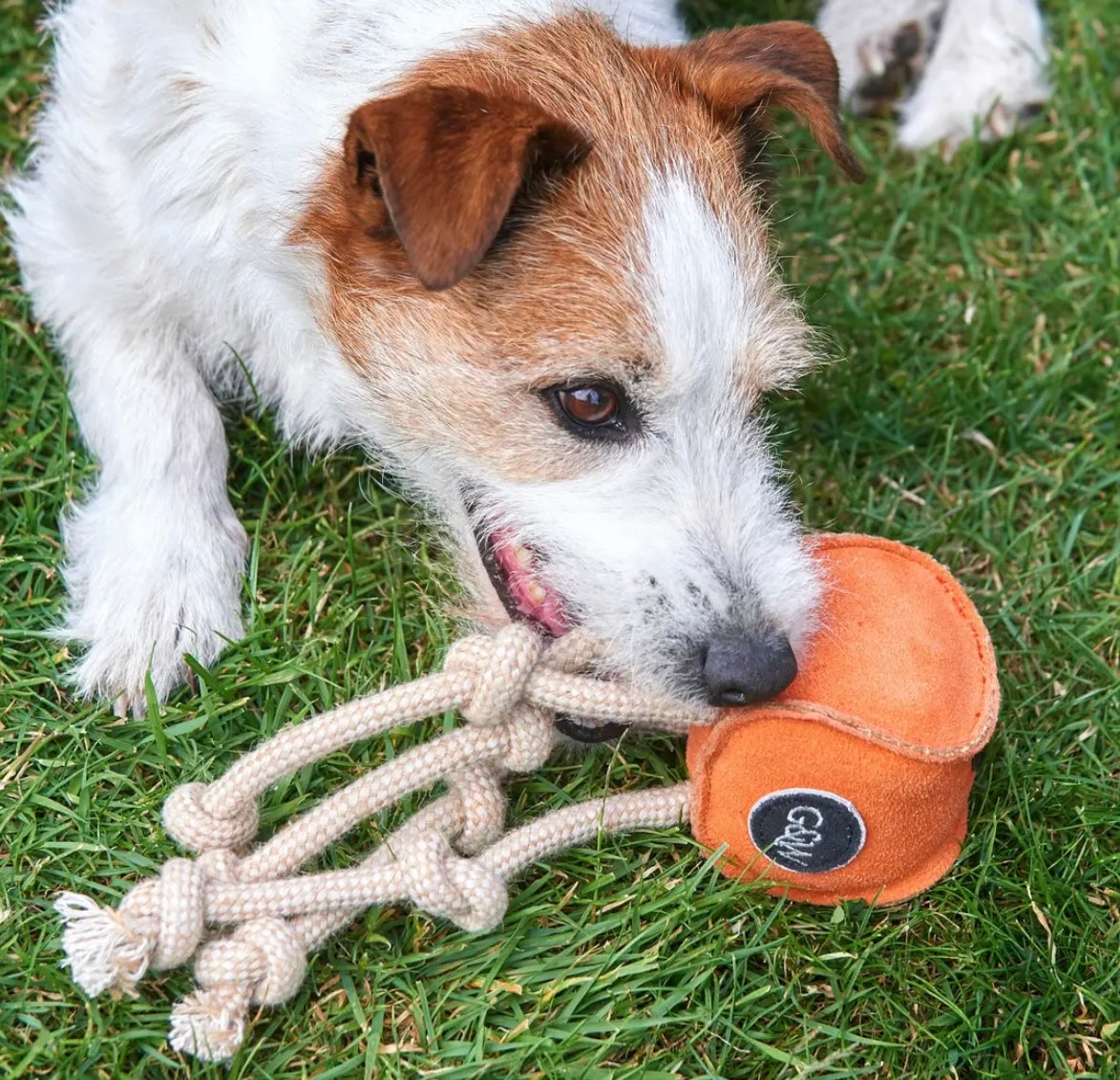Sid the Squid Eco Dog Toy