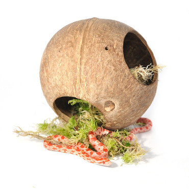 Habistat Moss Hide Coco Sphere