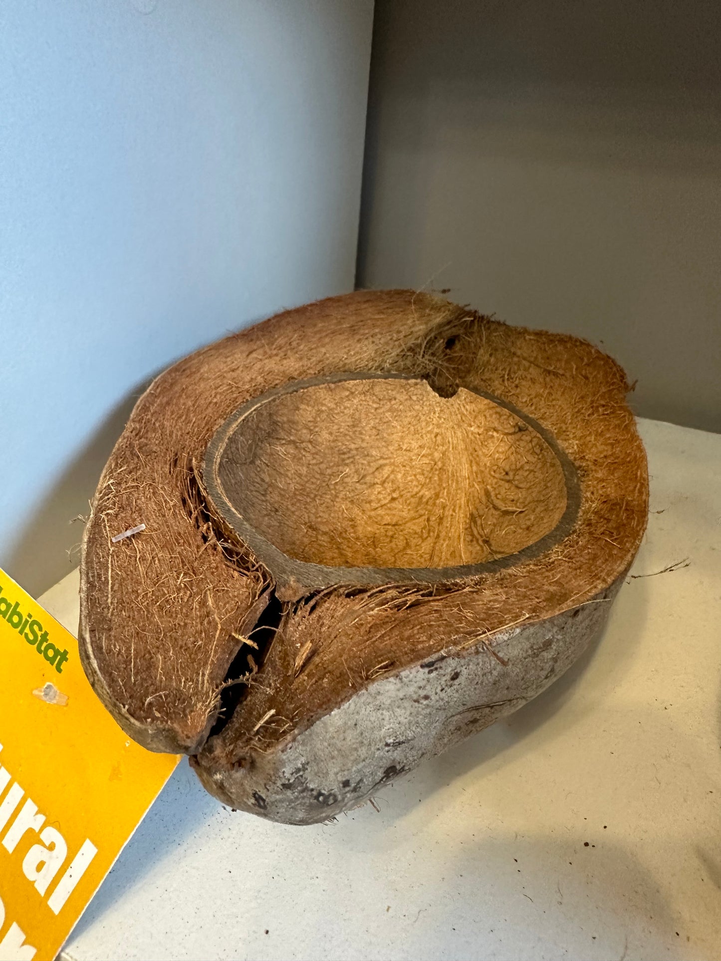 Habistat Coco Bowl