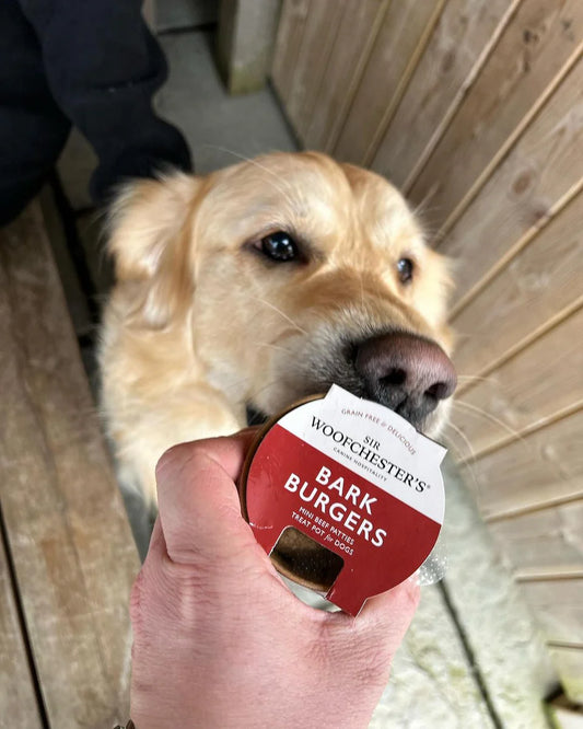 Sir Woofchester Bark Burgers
Treat Pot Mini Cheese Burgers Dog
