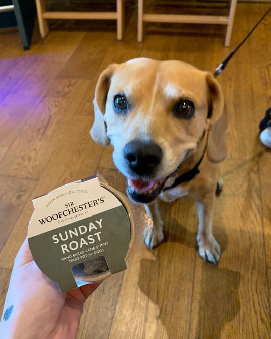 Sir Woofchester Sunday Roast Treat Pot Heart Biscuits Lamb and Mint Dig Treat