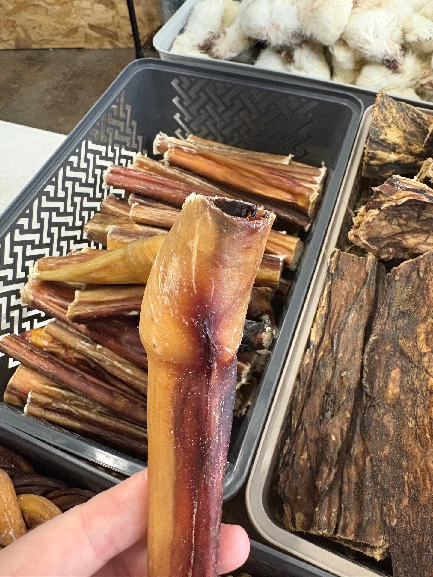 12cm Cut Bull Pizzle Stick Natural Dog Treat Chew