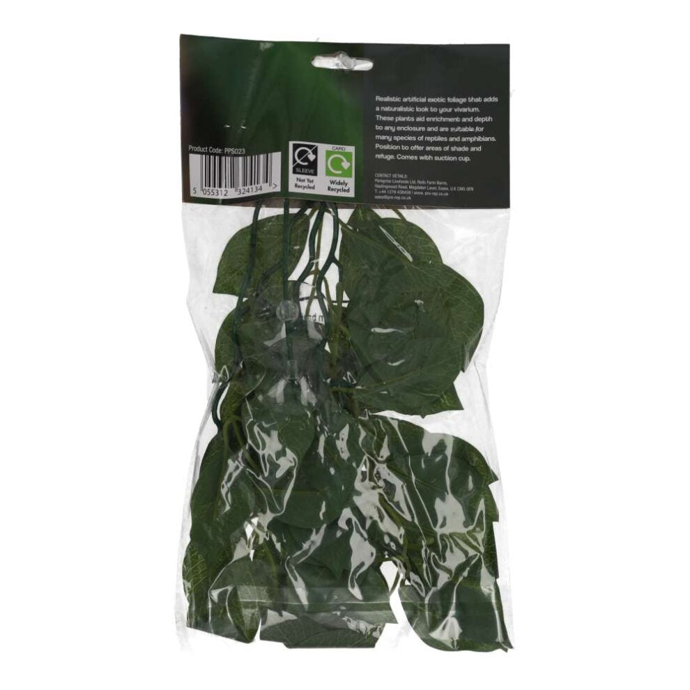 Pro Rep Silk Hanging Plant Weeping Fig 30cm