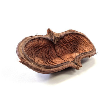 Habistat Sculta Pod