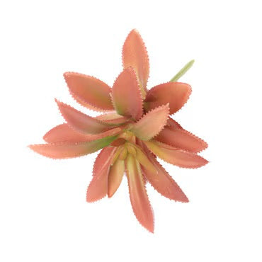 Habistat Succulent Mix Decor Foliage Artificial Plastic Plant 3 Pack