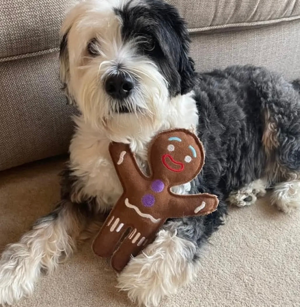 Jean the Genie Gingerbread Eco Dog Toy
