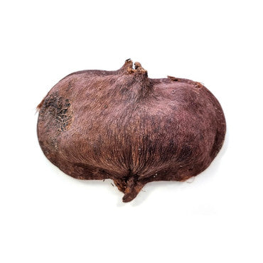 Habistat Sculta Pod