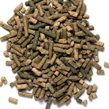 Arcadia EarthPro Turtle Gold 300g