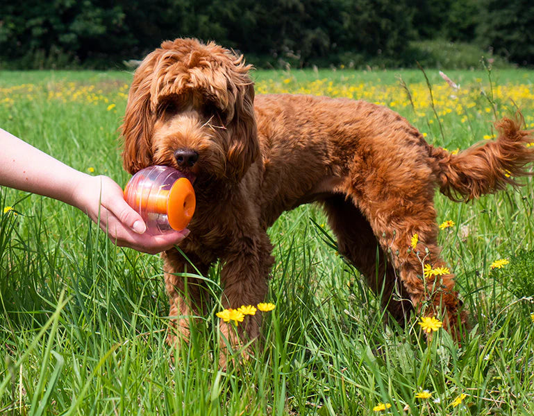 Giggling Treat Ball Dog Toy Enrichment