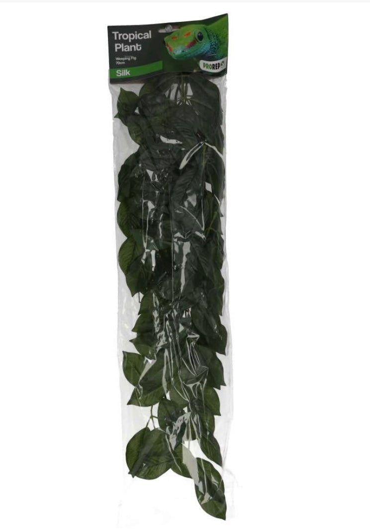 Pro Rep Silk Hanging Plant Weeping Fig 70cm