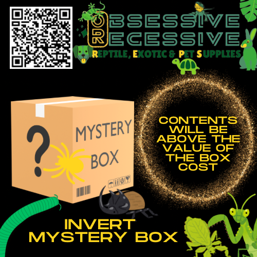 LIVE INVERT Mystery Box