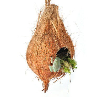 Hanging Coconut Aboreal Hide Geckos Decor Rope