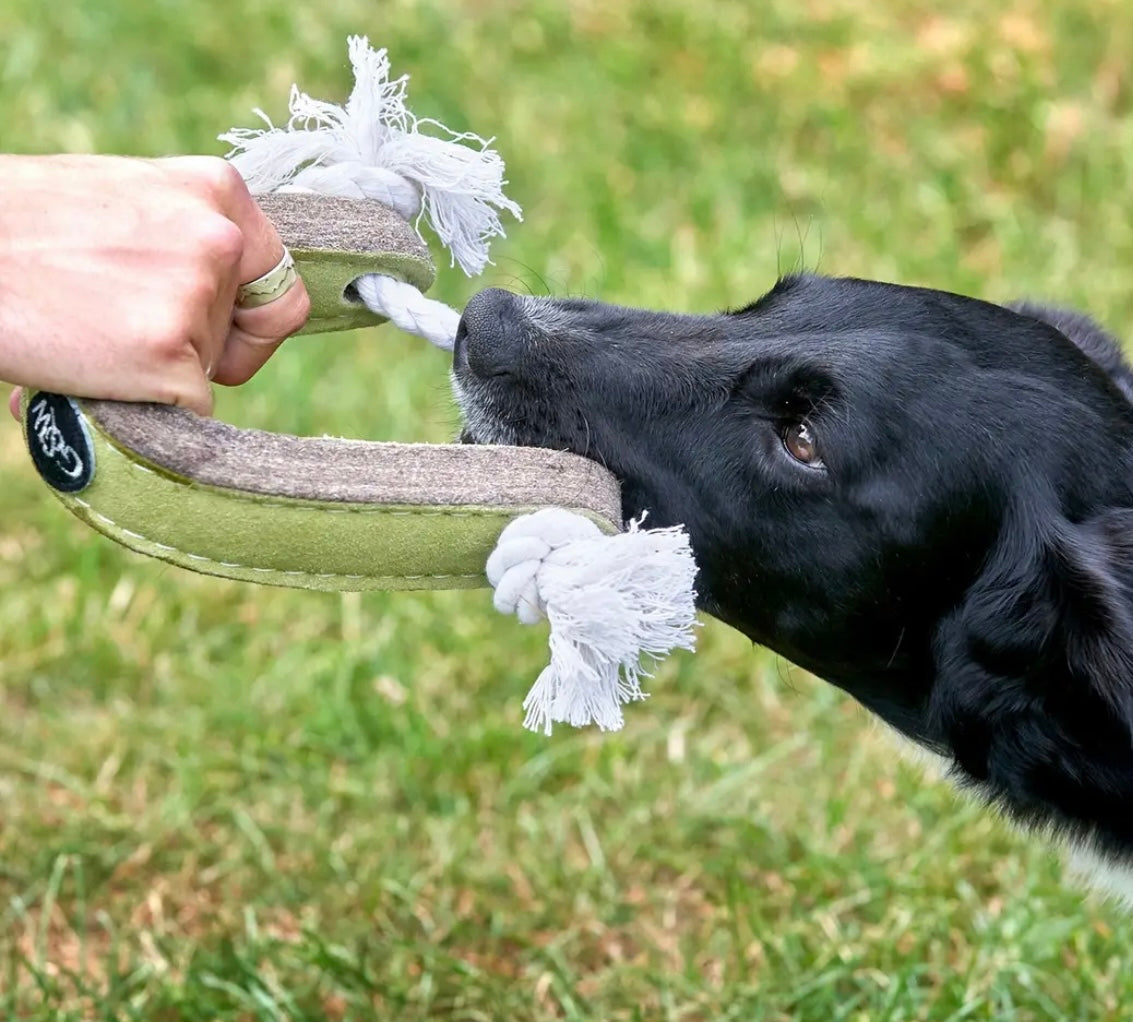 Push me Pull me Eco Dog Toy