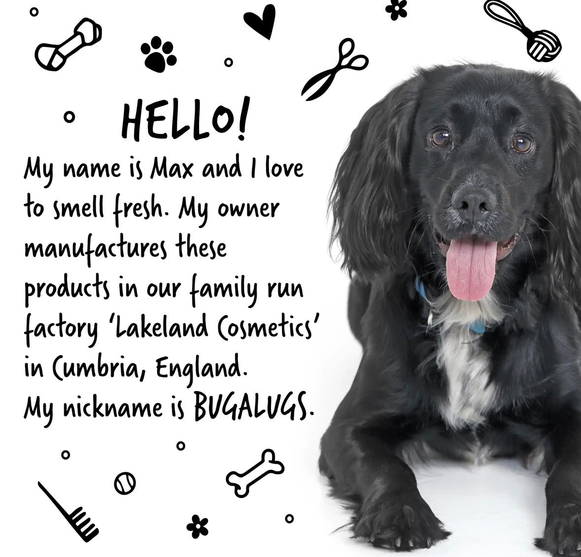 Bugalugs Medi Shampoo Itchy Skin