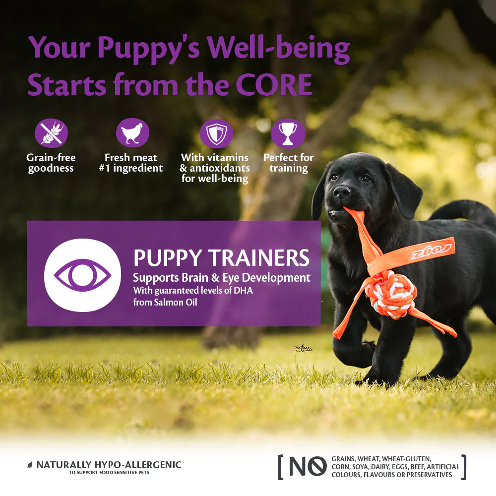 Wellness CORE Puppy Trainers Dog Treats