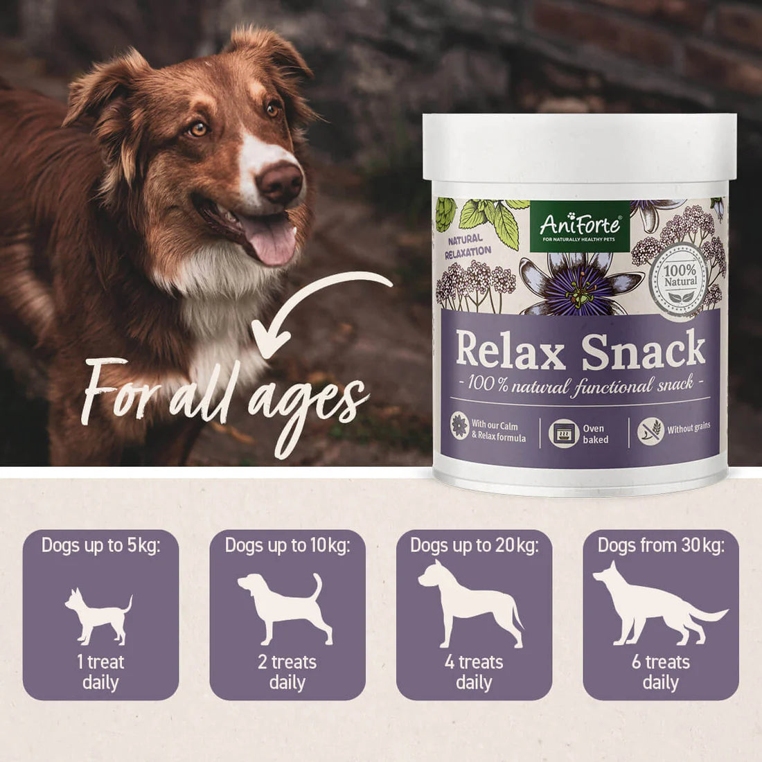 Aniforte Relax Snack Dogs Tub 300g