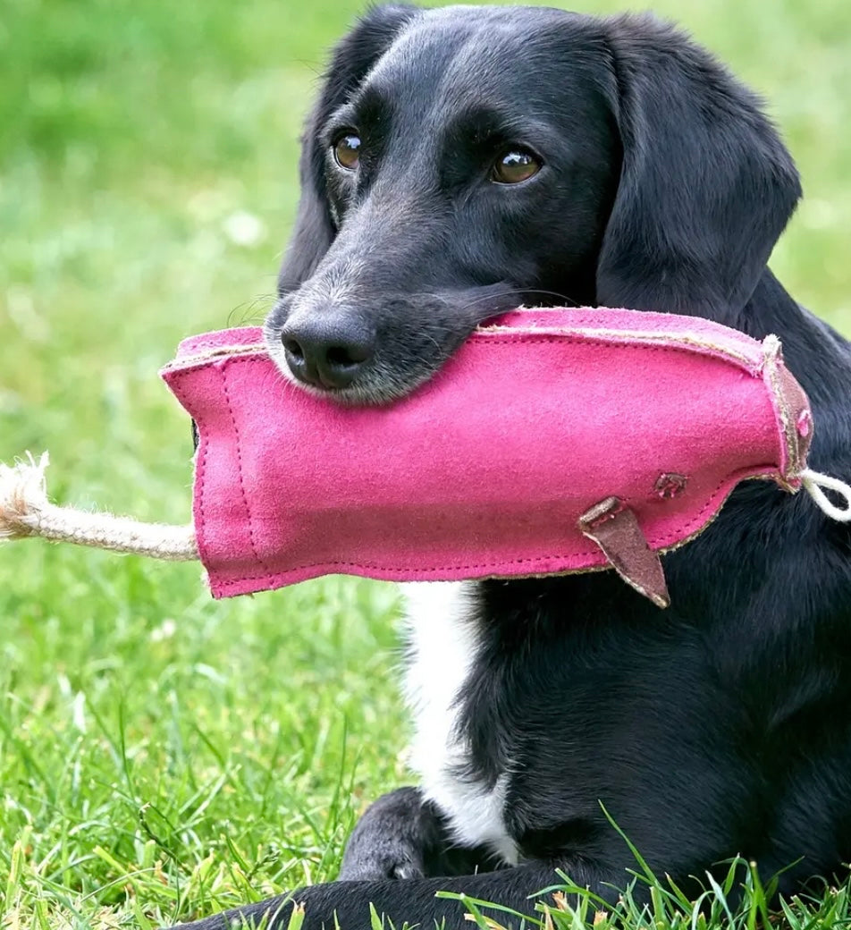 Peggy the Pig Eco Dog Toy