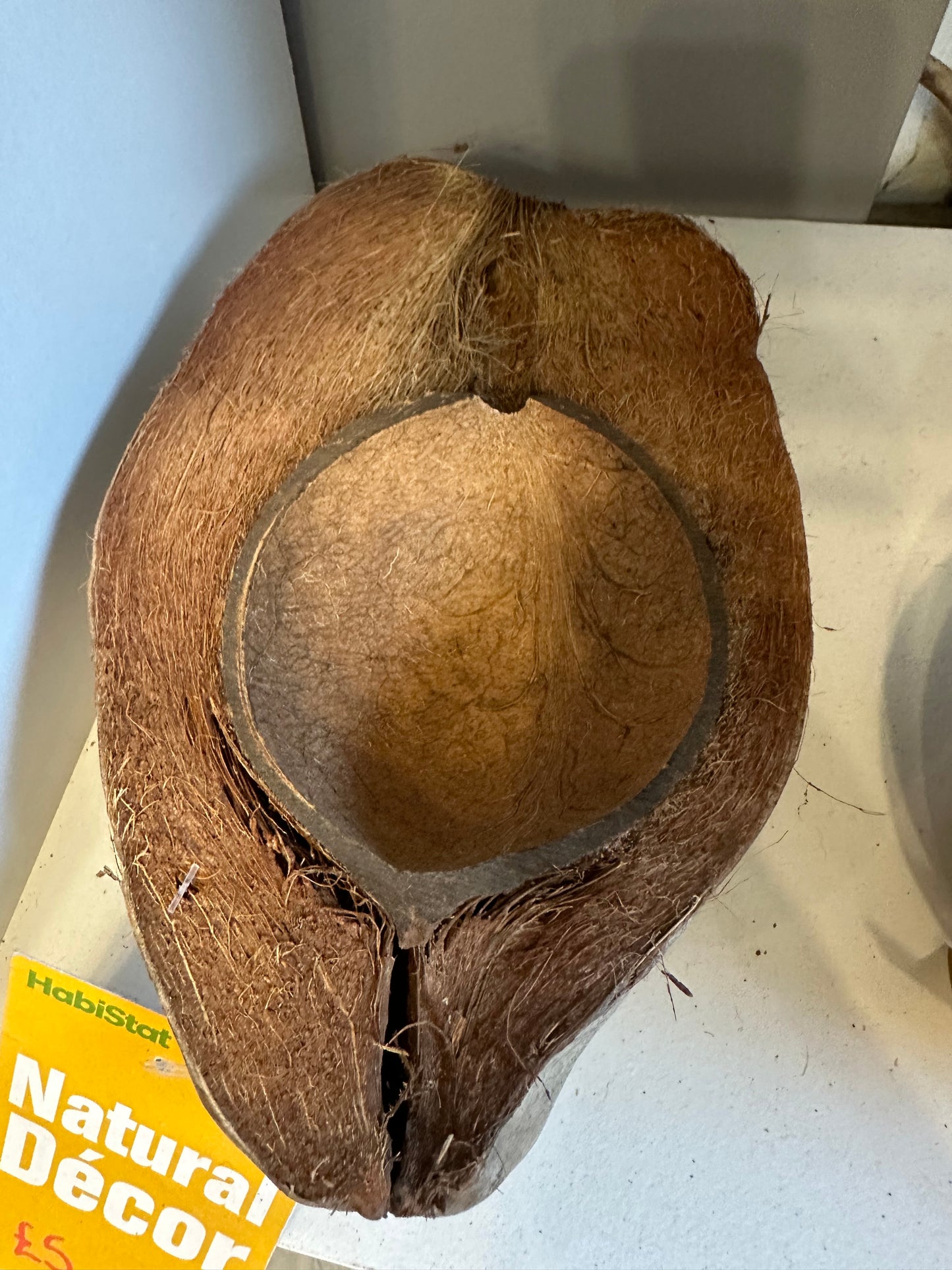 Habistat Coco Bowl