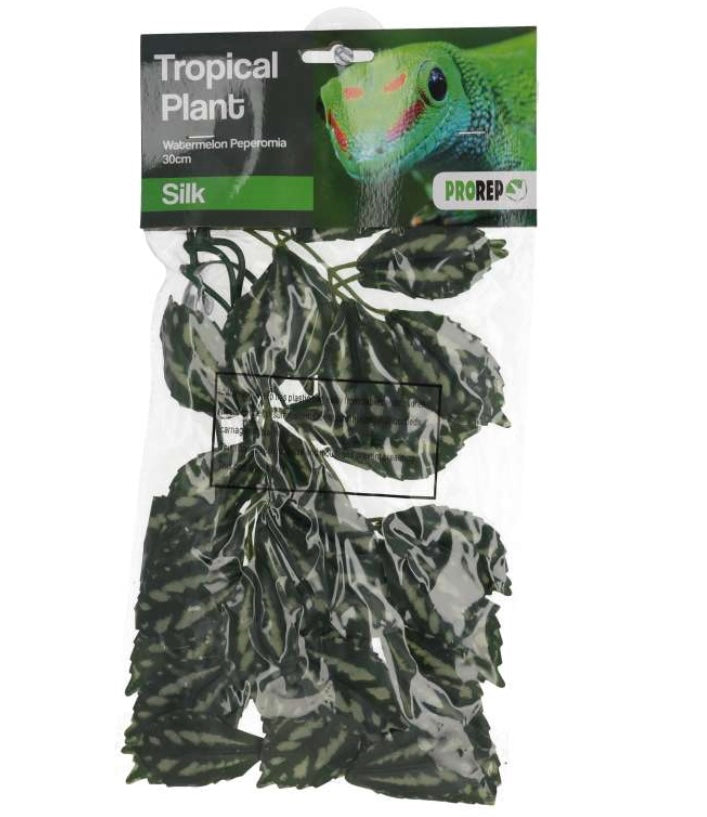 Pro Rep Silk Hanging Plant Watermelon Peperomia 30cm