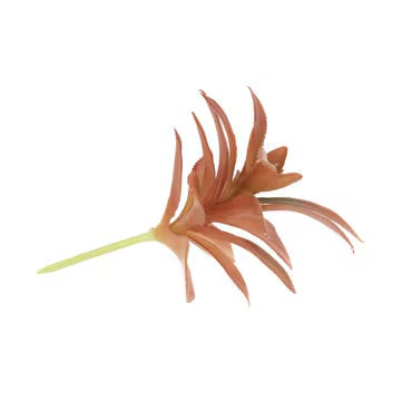 Habistat Succulent Mix Decor Foliage Artificial Plastic Plant 3 Pack