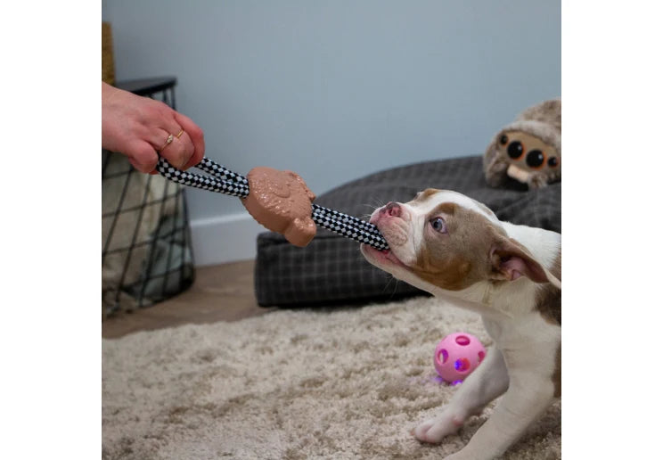 Small Bite Teddy Teether Tugger Puppy Dog Toy