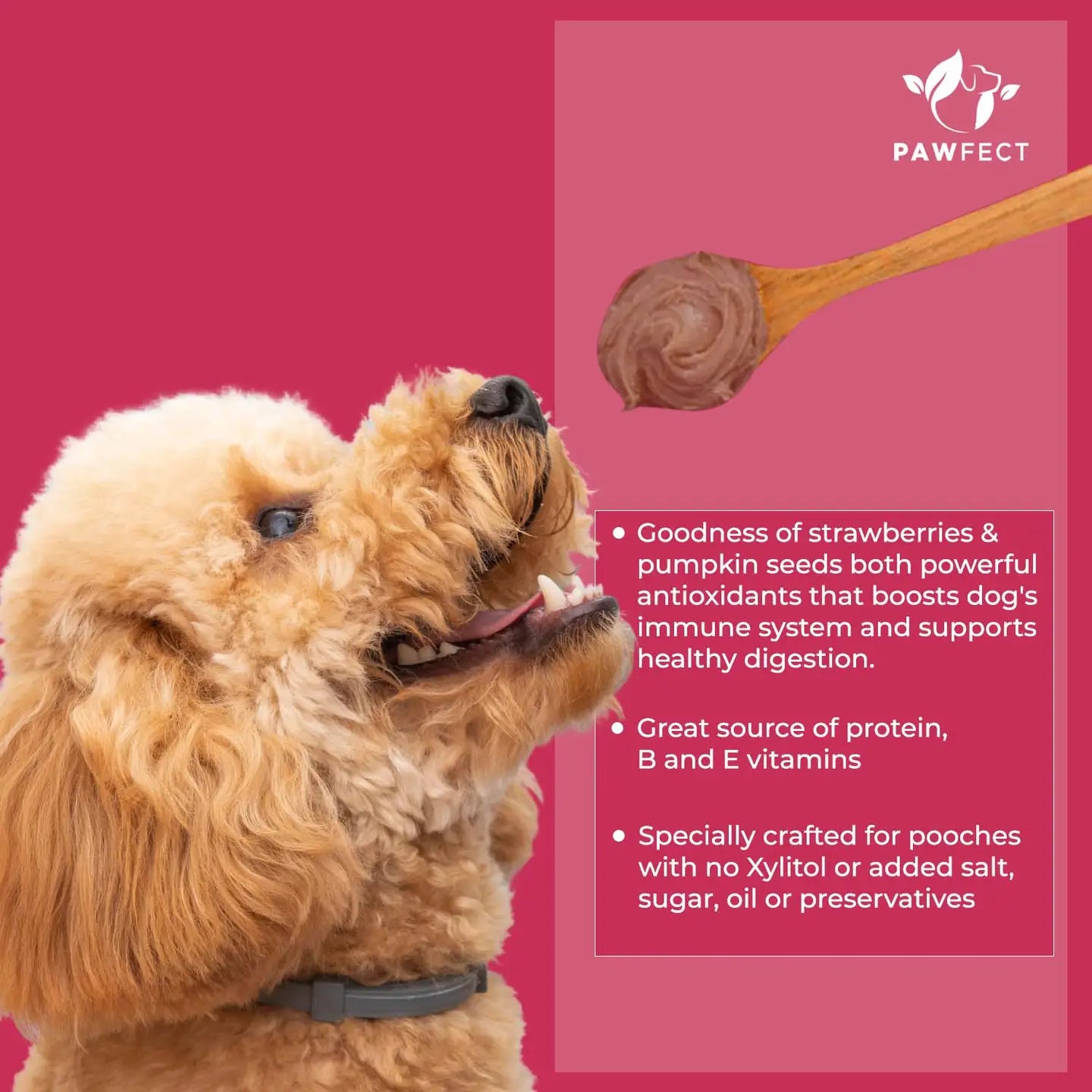 Dog Peanut Butter: Strawberry & Pumpkin Seeds 275g