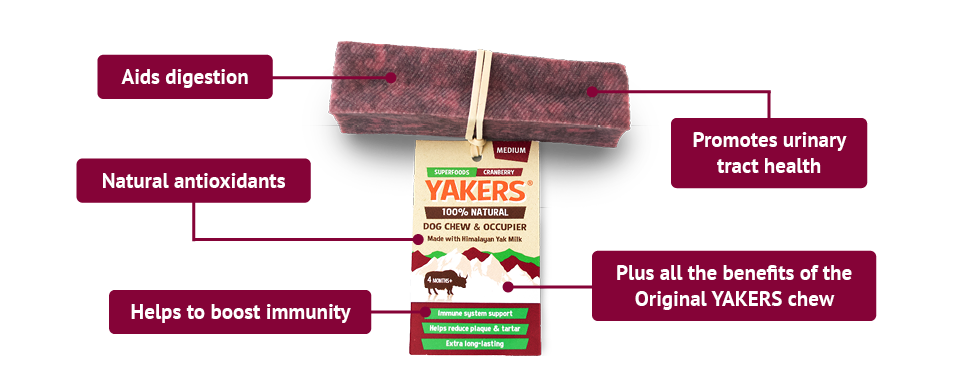Cranberry Yakers Yak Dog Chew Treat