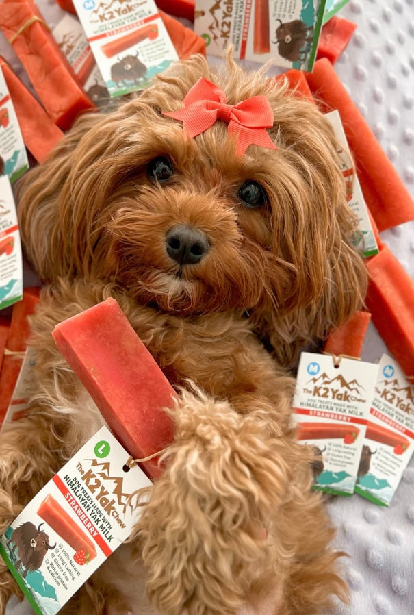 Strawberry Yak Chew Dog Treat