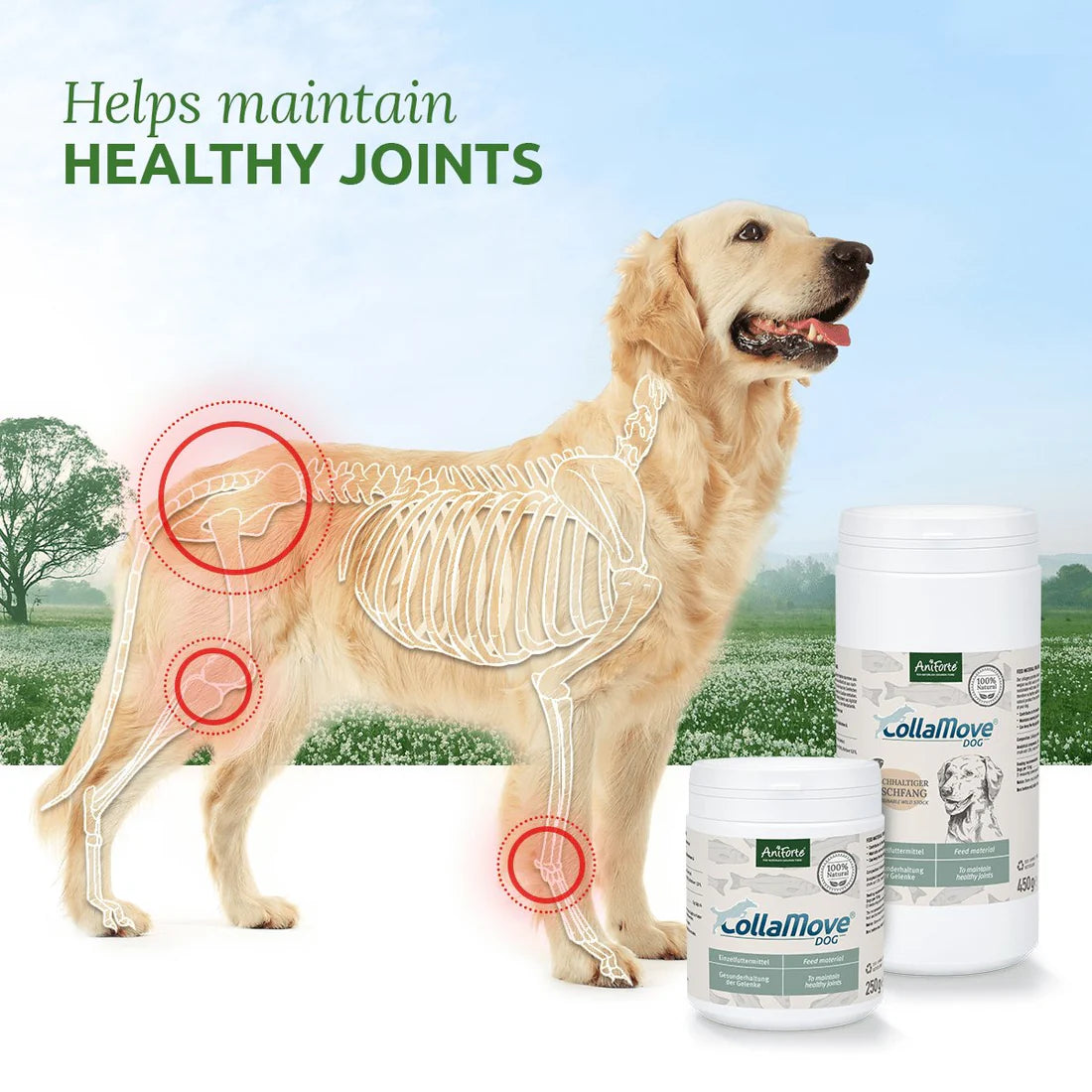 CollaMove Dog Collagen 250g - Supports Joints, Tendons, Ligaments & Cartilage