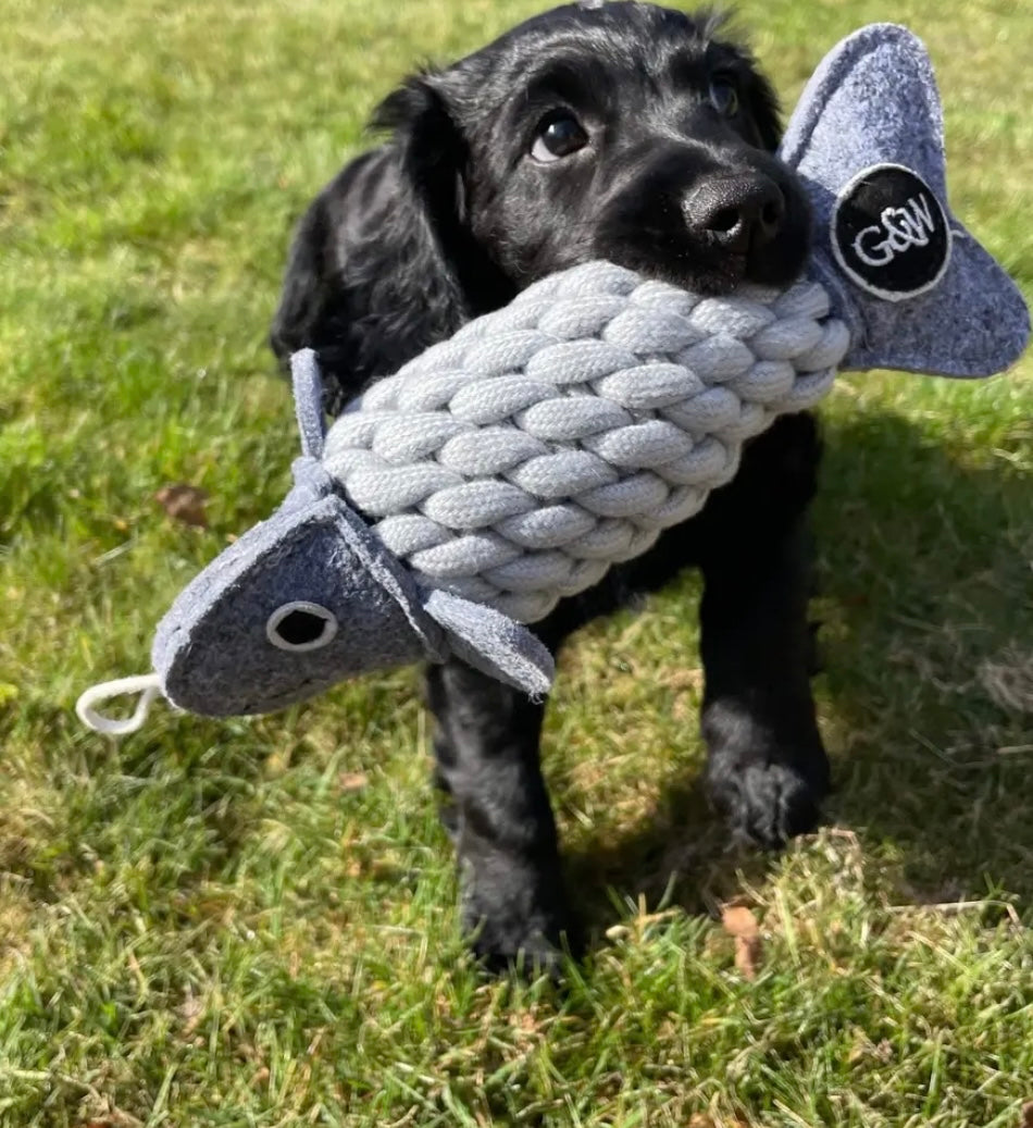 Roger the Ropefish Eco Dog Toy