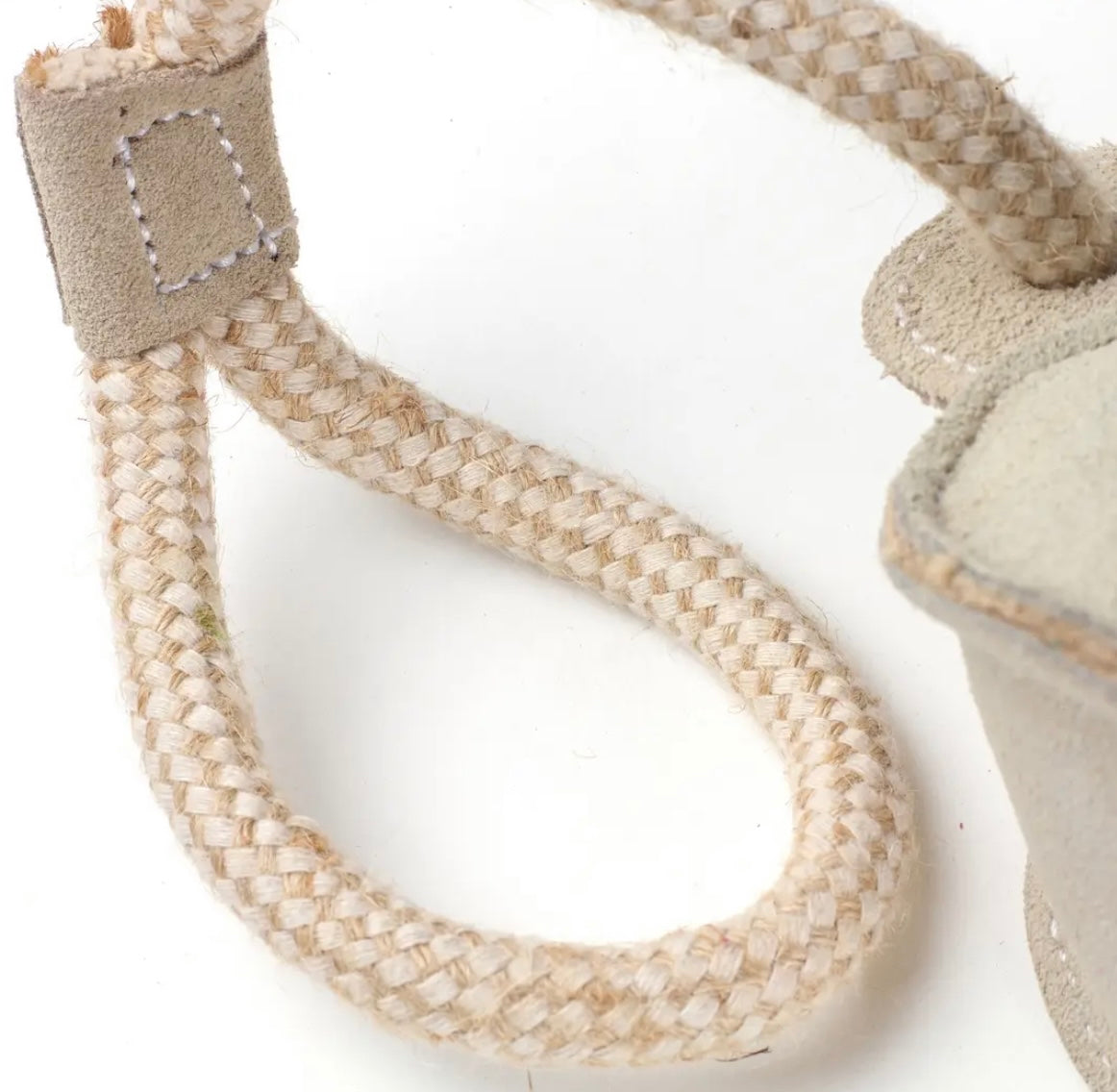 Chuck It Eco Dog Toy
