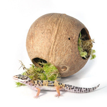 Habistat Moss Hide Coco Sphere
