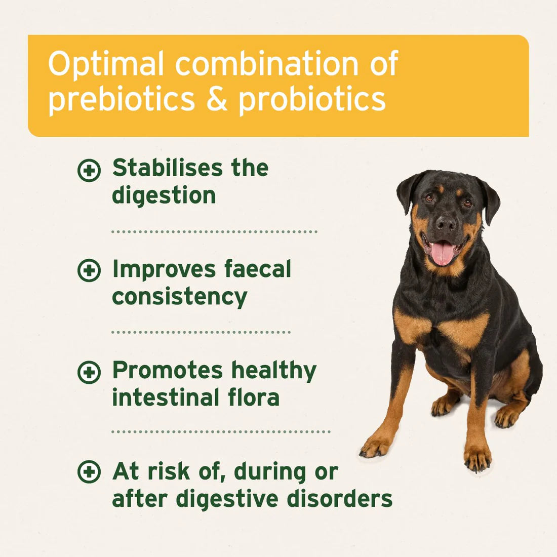 Aniforte® plus Probiotic Tabs
Dietary feed to stabilise the natural intestinal flora Dog 90 Capsules