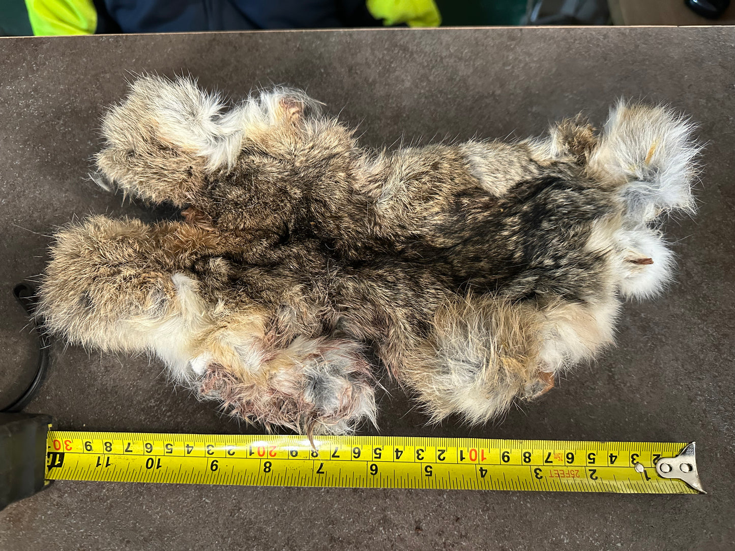 Full Rabbit Skin Pelt Bark Natural Dog Treat Long Lasting