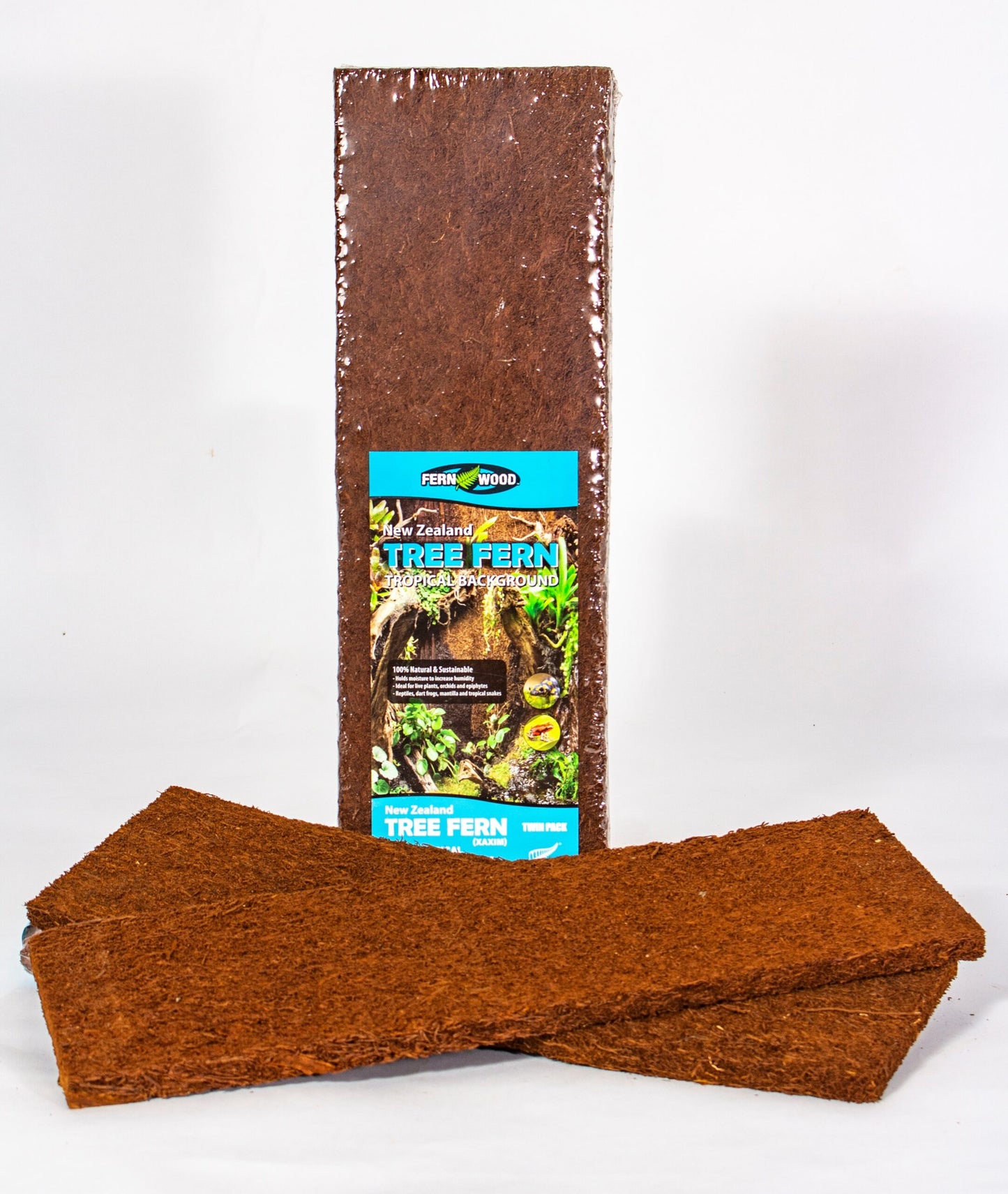 Tree Fern Panels Large twin pack of 50x20x1.5cm