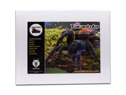 Adult Tarantula Starter Kit