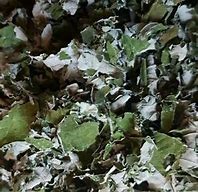 Botanical Bag 30g Mixed Forage