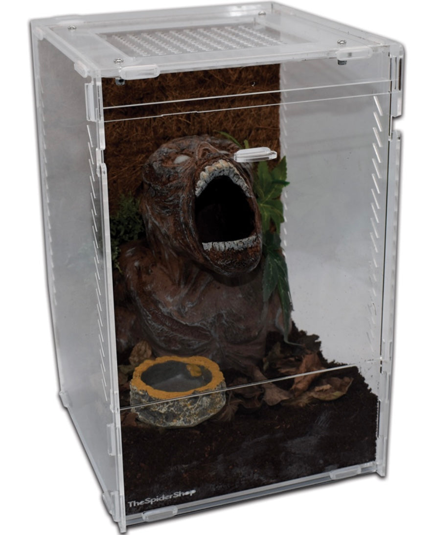 Acrylic Aboreal Terrarium Large Flat Packed