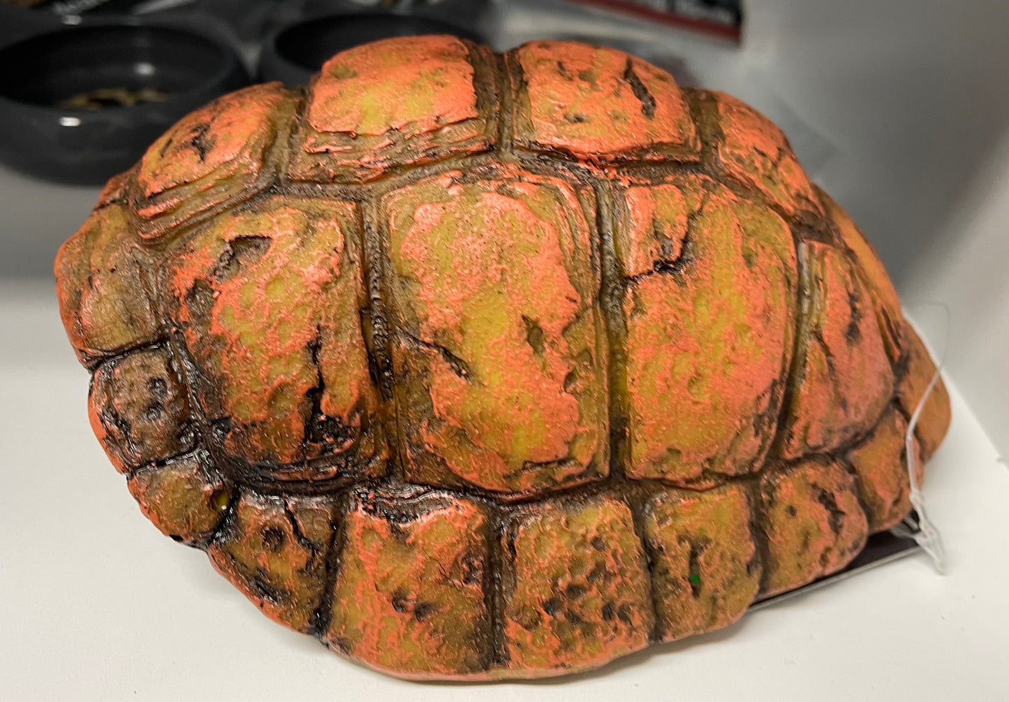Turtle Carapace Cave 15 x 12,3 x 7.5 cm