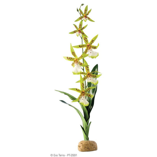 Exo Terra Spider Orchid Ornament