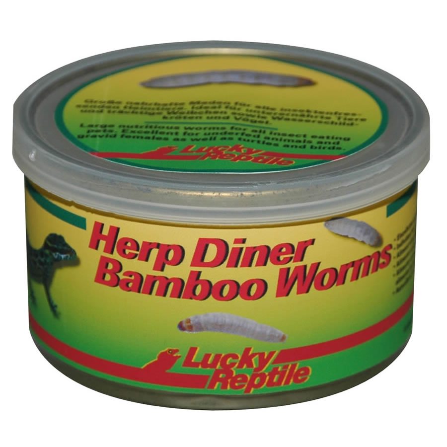 Lucky Reptile LR Herp Diner Bamboo Worms